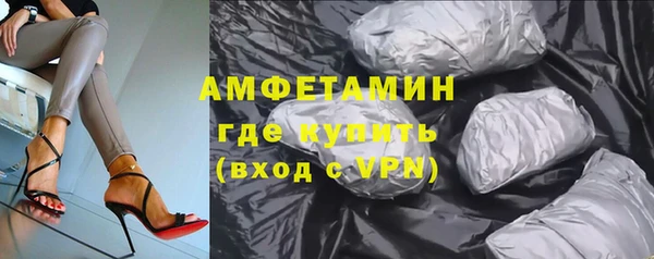 прущие грибы Верея