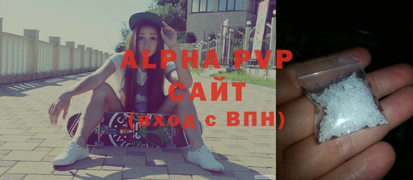прущие грибы Верея