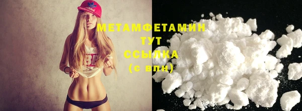 прущие грибы Верея
