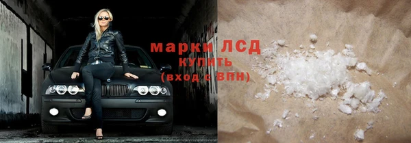 гидра Богородицк