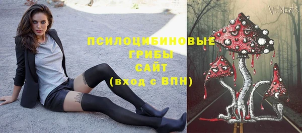 прущие грибы Верея